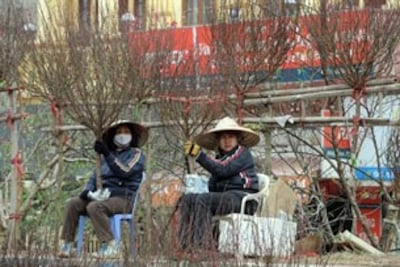 Chợ bán hoa đào ở Hà Nội. AFP