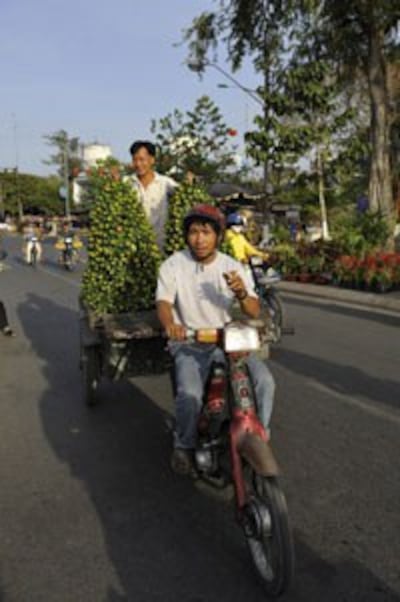 Nông dân Vĩnh Long chở tắc giao cho khách vào những ngày giáp Tết. AFP photo 