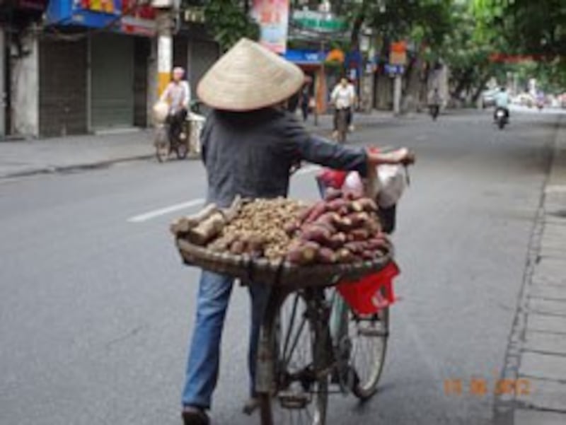 Những phụ nữ bán hàng rong khắp hang cùng ngõ hẻm ở Hà Nội trên chiếc xe đạp. RFA photo