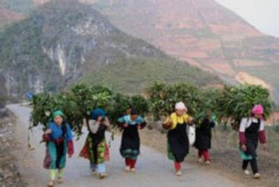 Người dân tộc H'Mong tại Hà Giang, ảnh chụp hôm 8 tháng 3 năm 2012. AFP PHOTO.