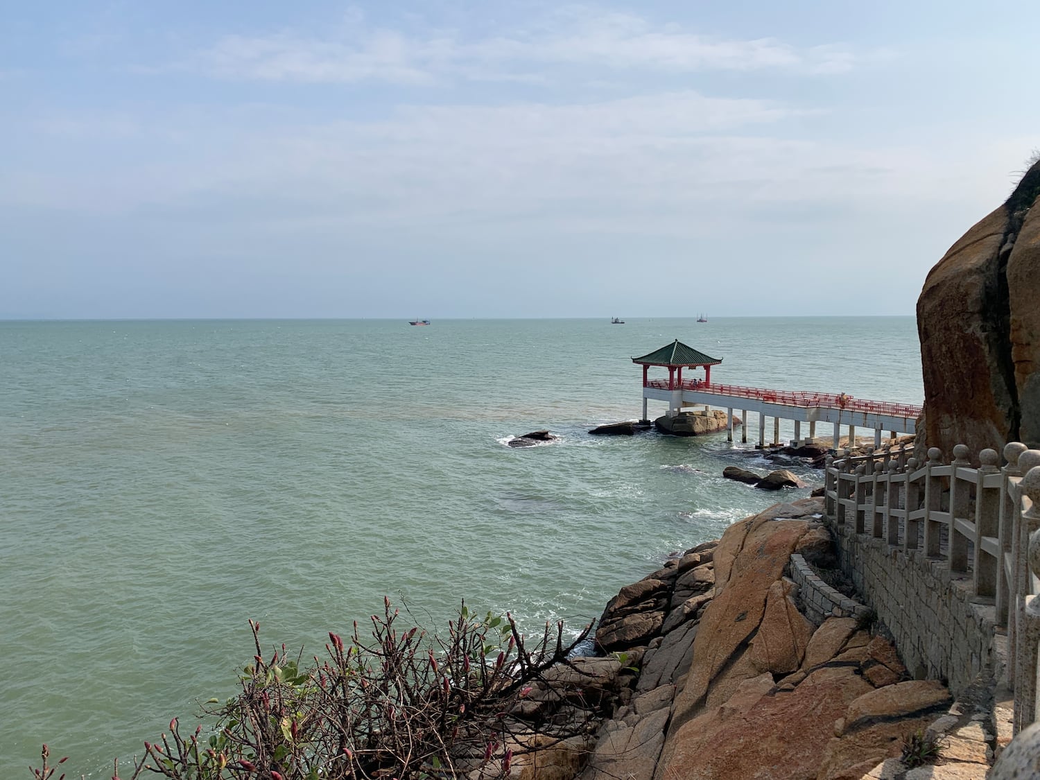 澳门生态岛选址路环海域，填海区与白海豚栖地、迁徙廊道重叠。