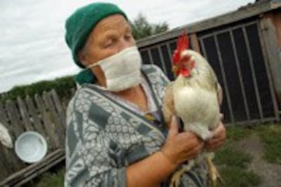 bird_flu_Russia-200.jpg