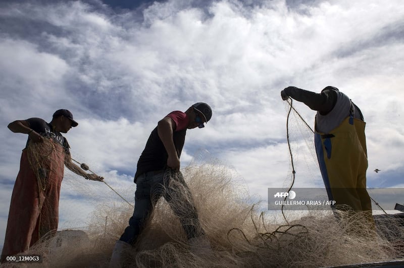 Fishermen prepare their nets at Campo Serena fishing camp, to serve China's black market demand for totoaba bladder in the Gulf of California off northwestern Mexico, March 9, 2018. 