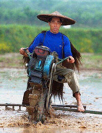 Guangdong_farmer_150.jpg