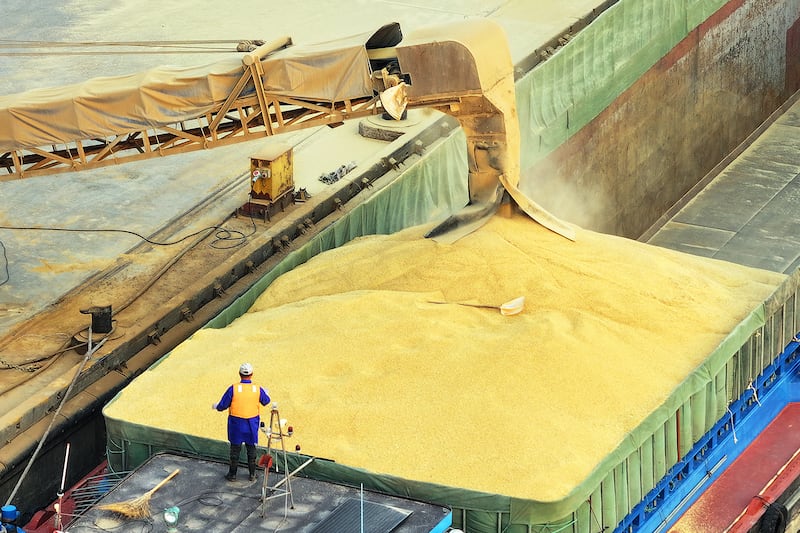 A barge is loaded with imported grain at the port in Nantong, China, Feb. 16, 2025.