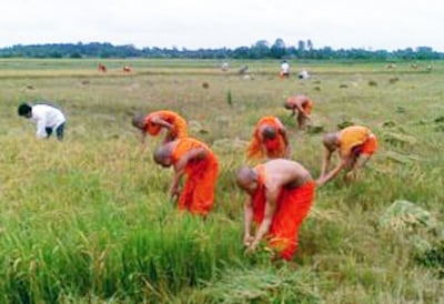 Các nhà sư Khmer Krom ở vùng An Giang giáp ranh Campuchia. Ảnh minh họa RFA