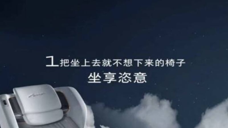 標域近日在中國發布一款新車，宣傳自家車上座椅非常舒適，「坐上去就不想下來」。（網絡圖片）