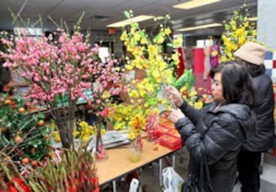 Hoa Mai và hoa Đào không thật lắm nhưng không thiếu tại chợ Tết Cộng Đồng. Photo Nhat Hung/VNPS