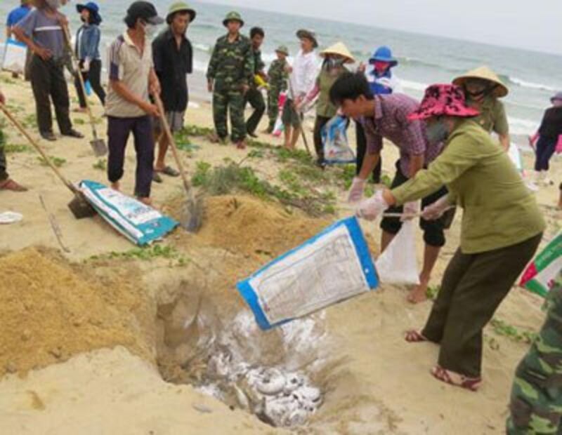 Ngư dân xã biển Đức Trạch (huyện Bố Trạch) cùng lực lượng Biên phòng thu gom, chôn lấp cá chết dạt vào bờ.