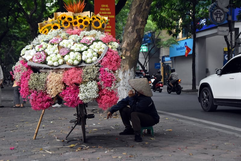 A woman sells flowers on the side of the road in Hanoi. August 17. Allegra Mendelson.jpg