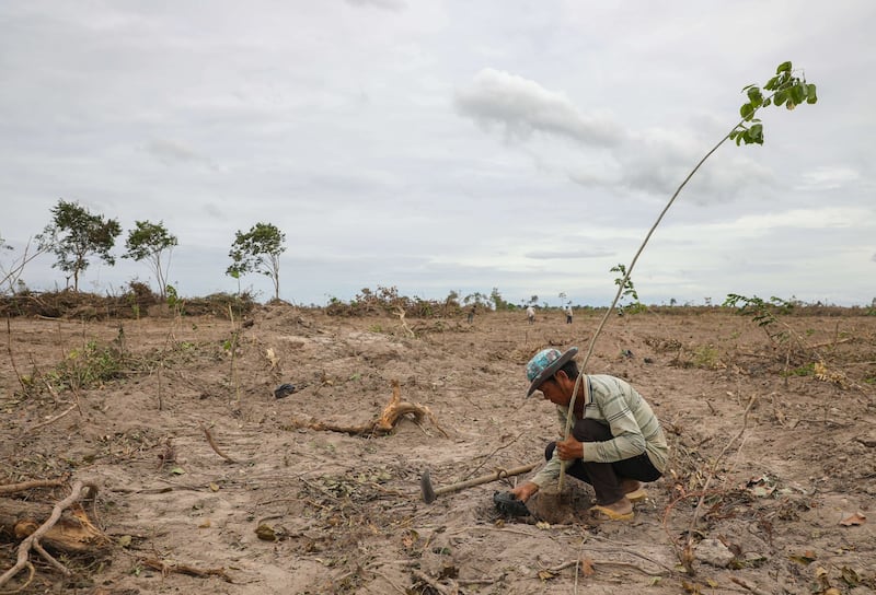 Phnom Tamao Reforestation_ 9955.jpg