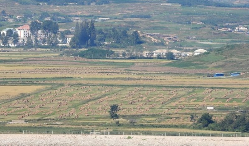 NORTH-KOREA-POTATO-FARM-KIM-JONG-UN-INSPECTION 02.jpeg