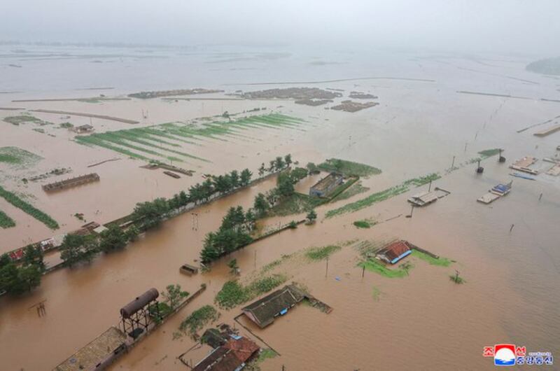 02 KIM-PORTRAITS-FLOOD-RESIDENTS-WORKERS-PARTY.jpeg